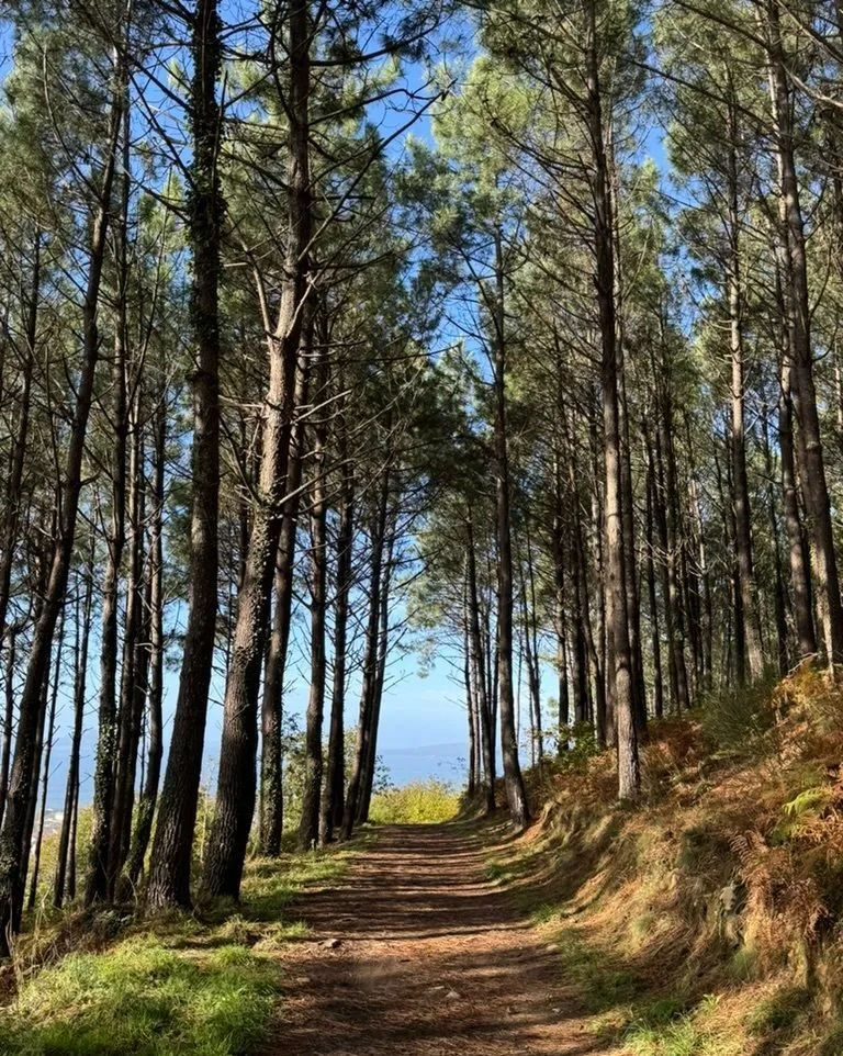 When is the best time to walk the Camino?