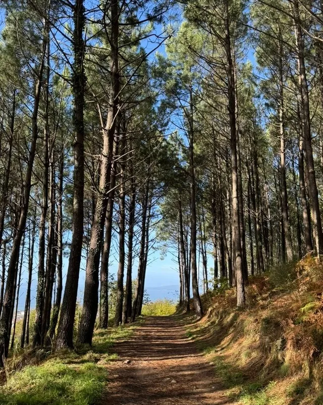 When is the best time to walk the Camino?
