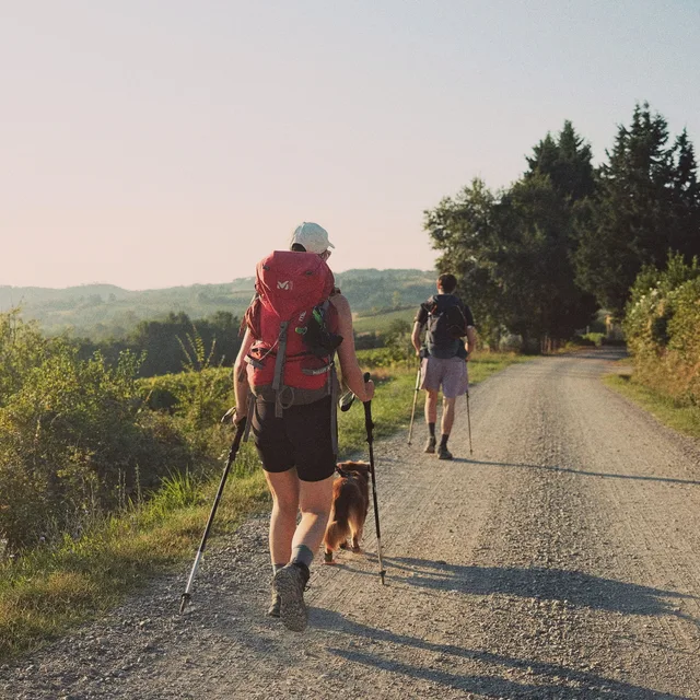 Walking the Camino with your dog