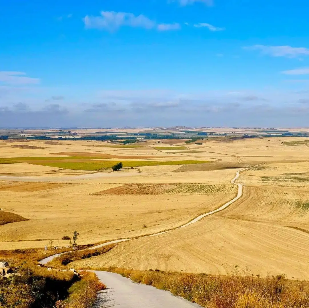 The Meseta will bore you, then transform you