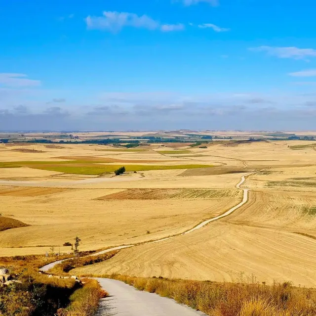 The Meseta will bore you, then transform you