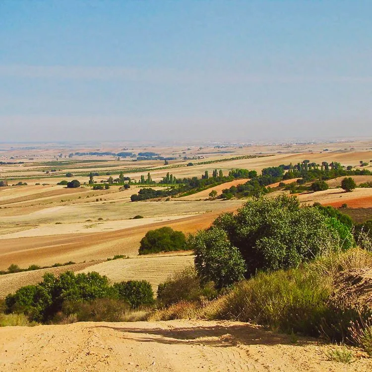 The Vía de la Plata: 1,000 km from Seville