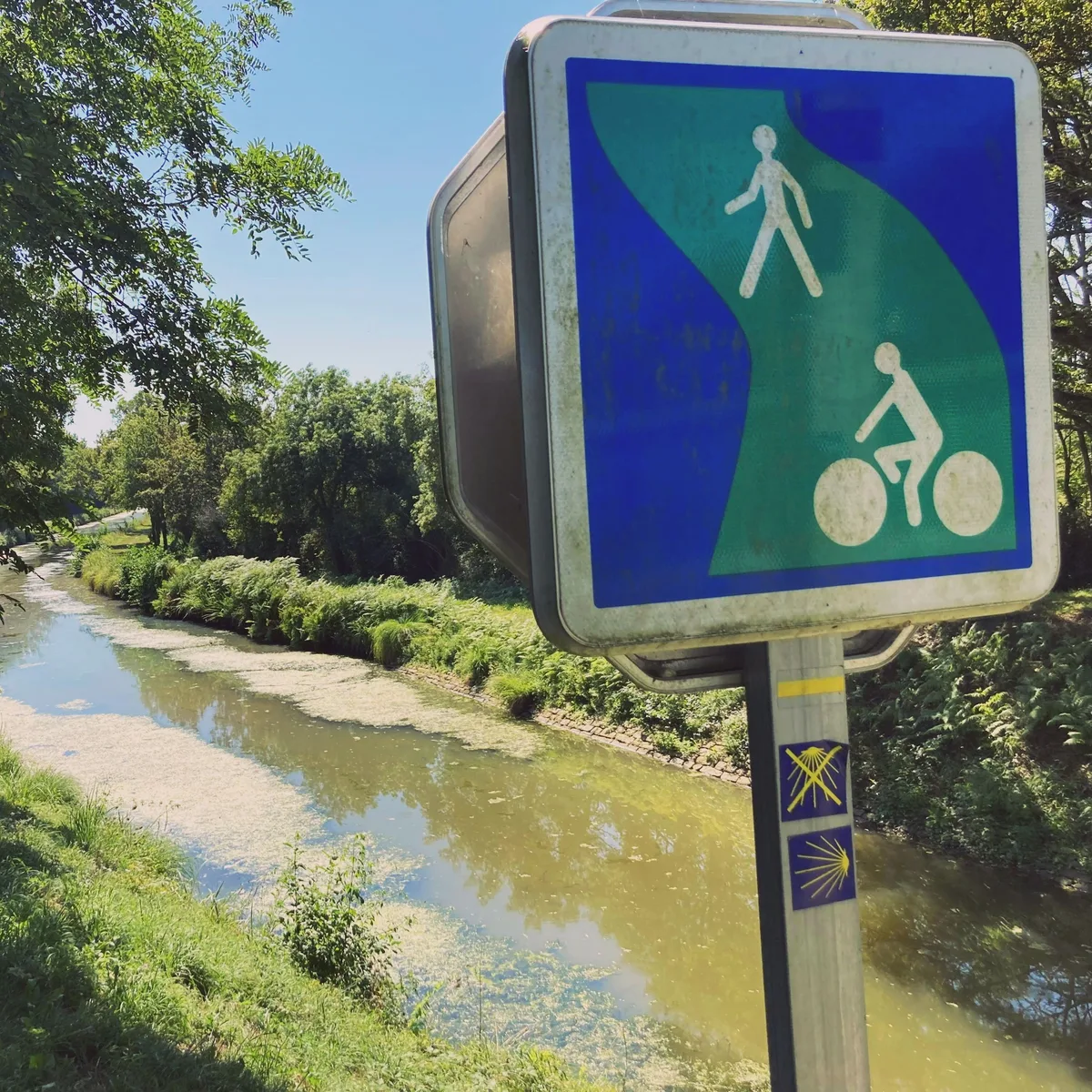 Walkers and cyclists: the two speeds of the Camino